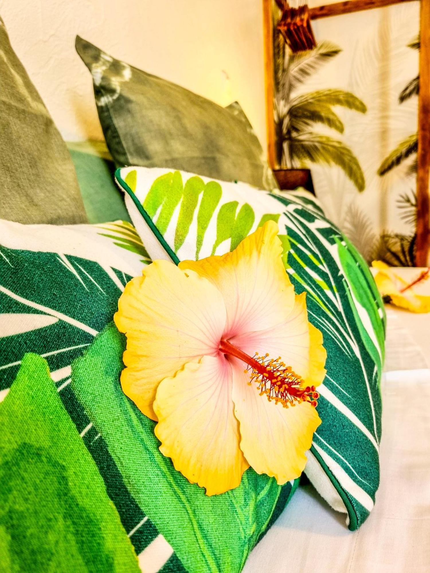 Maison D'Hotes Villa Des Mascareignes Petite Île Dış mekan fotoğraf